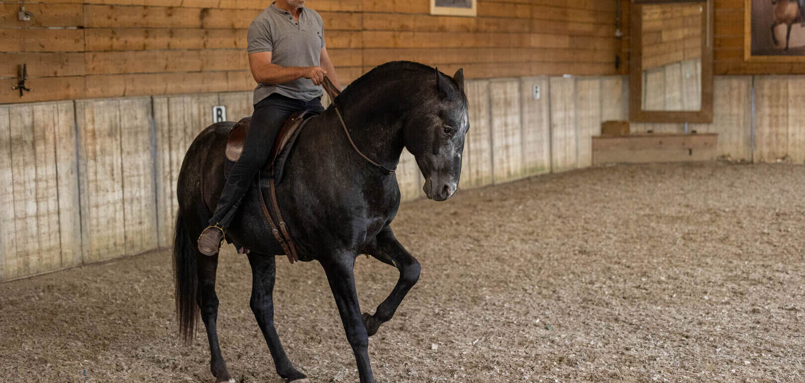 Neck Rein® with a free head
