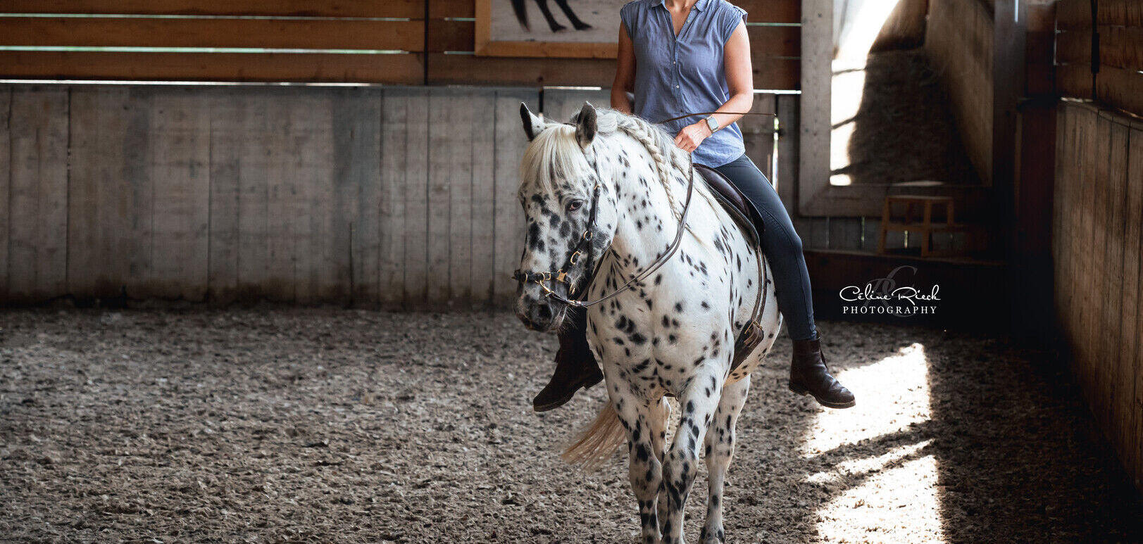 Day Clinic as a RIDER 21-11-26