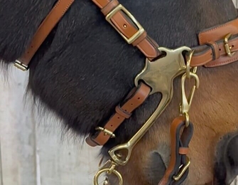 Cavemore headstall